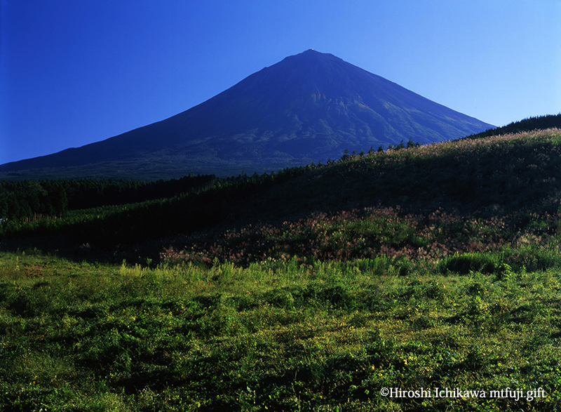 富士山195